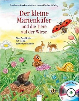 Der schwarze Schleier - Eine Geschichte über Liebe, Verlust und die unheilvolle Macht der Vergangenheit!