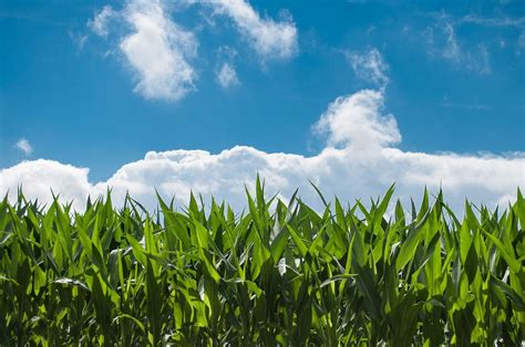 Quand le ciel est bleu... eine nostalgische Reise durch die französische Landschaft und das Drama eines verflossenen Lebens!